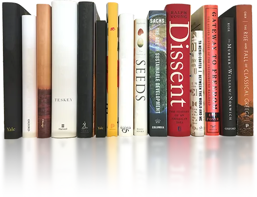 Character Illustration